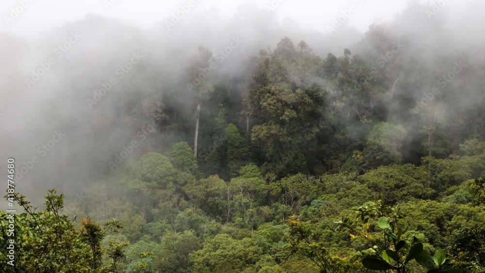 mist over the cloud forest Costa Rica ecosystem tropical wilderness san gerardo valley mist over the cloud forest Costa Rica ecosystem tropical wilderness san gerardo valley