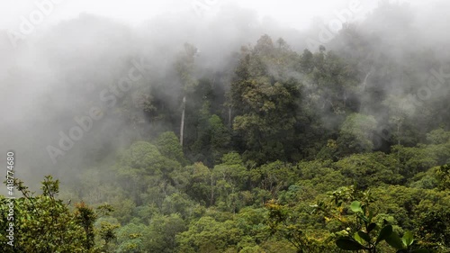 mist over the cloud forest Costa Rica ecosystem tropical wilderness san gerardo valley  photo