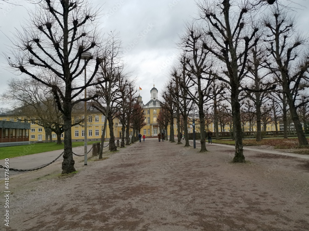 Avenue with trees for pedestrians in winter