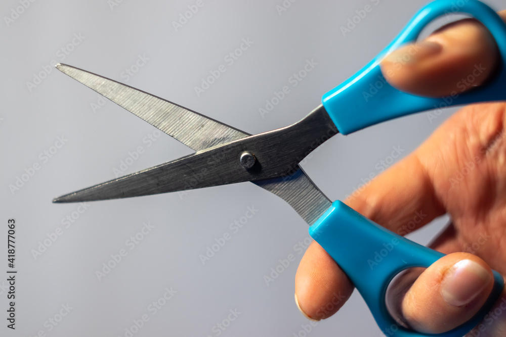 A hand holding open scissors with blue handles A hand holding open scissors with blue handles