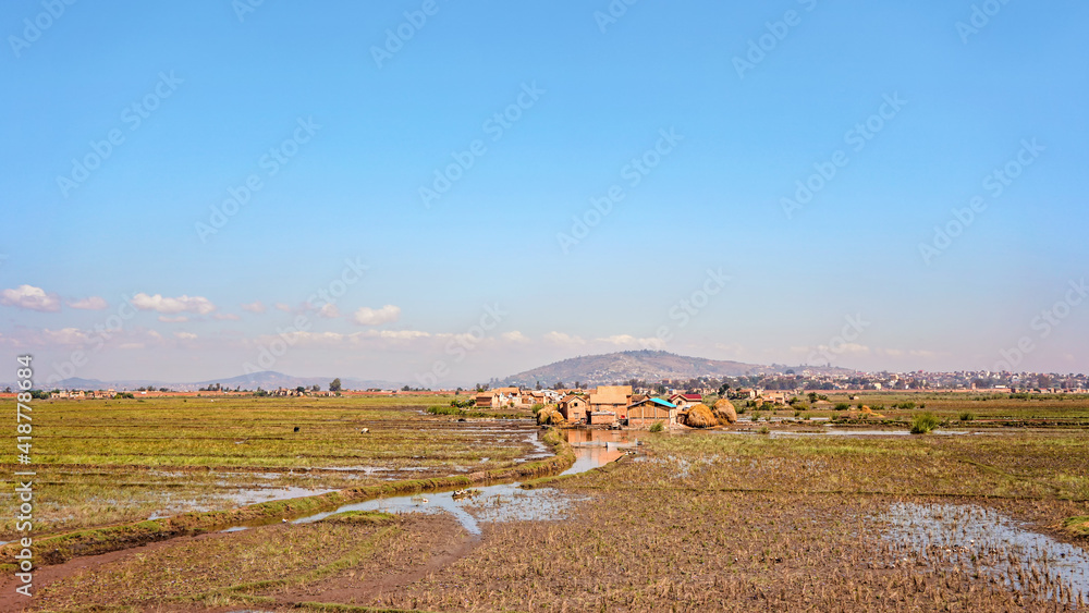 Typical scenery during sunny t day near Madagascar capital, houses on small hills background, wet rice fields in foreground