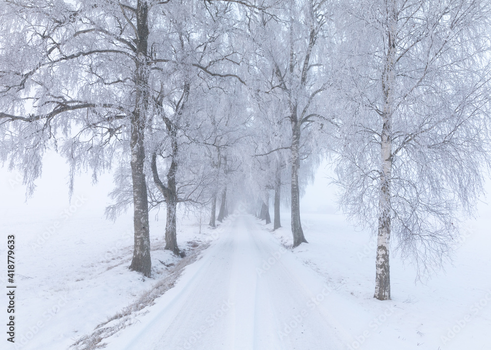 Winter alley