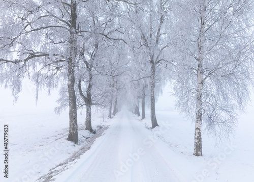 Winter alley © Andreas