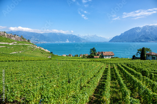 Genfersee