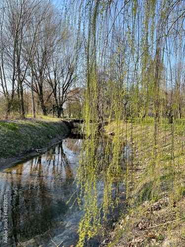 Primavera a Basiglio - Milano