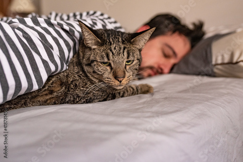 Cuadro en lienzo Man sleeping in bed cuddled with a comfortable tabby cat that looks at camera