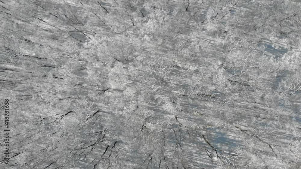 Beautiful winter forest. The trees are covered with snow and frost. View from the verdu over the forest. Flight between trees. Beautiful winter forest. The trees are covered with snow and frost. View from the verdu over the forest. Flight between trees.
