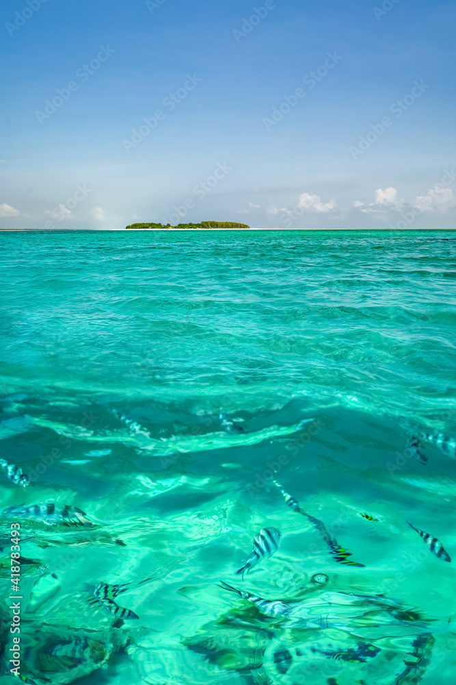 Beautiful underwater view with some tropical fishes of lone small island above the water surface in turquoise waters of tropical ocean.