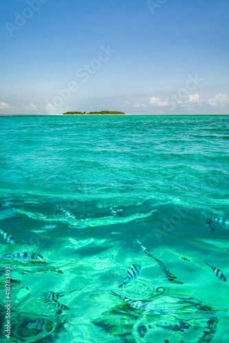 Beautiful underwater view with some tropical fishes of lone small island above the water surface in turquoise waters of tropical ocean.