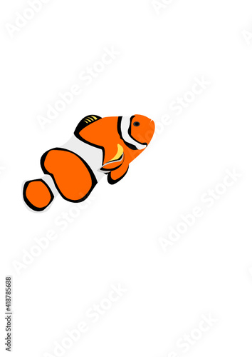 Clownfish Vector 1