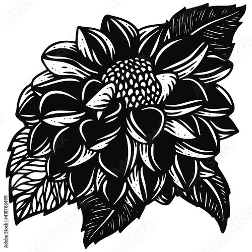 Flower arrangement with dahlia in sketch style. Tattoo illustration of flower buds photo
