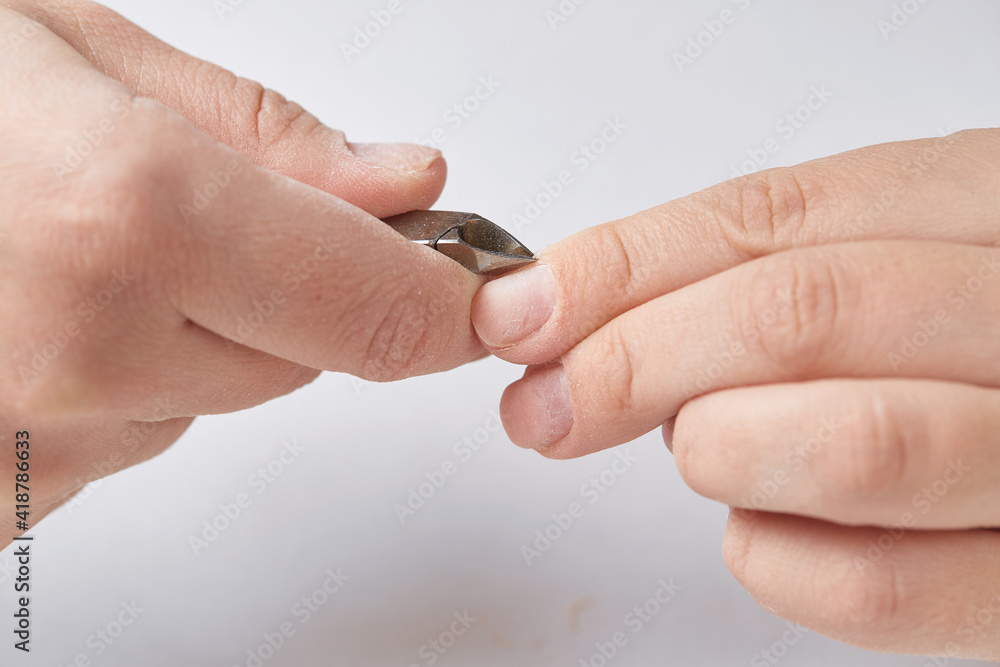 Treatment of the cuticle with forceps during the edged nail manicure. The girl makes herself an edged manicure at home. Cuticle treatment with forceps on a white isolated background. Close-up. Treatment of the cuticle with forceps during the edged nail manicure. The girl makes herself an edged manicure at home. Cuticle treatment with forceps on a white isolated background. Close-up.
