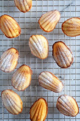 Top down full frame image of madeleine cakes on a cooling rack with icing sugar