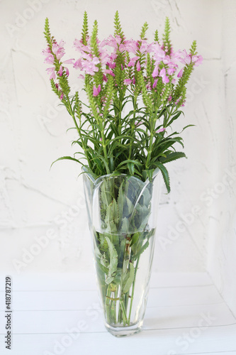 Fototapeta Naklejka Na Ścianę i Meble -  Pink flowers in a vase a gift summer