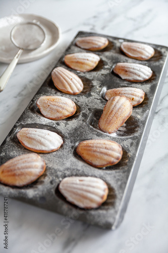 Side view diagonal of freshly baked madeleine cakes in a tin, on a white marble background