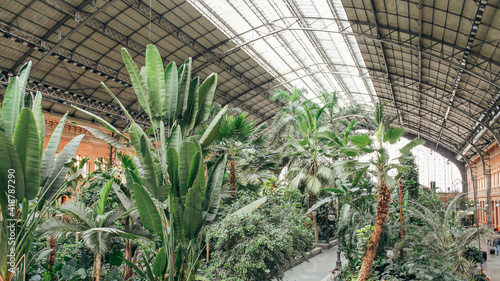 Tropical green house, location in Atocha train station, Madrid, Spain.
