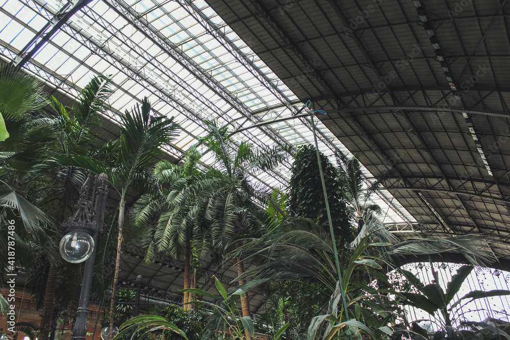 Tropical green house, location in Atocha train station, Madrid, Spain.