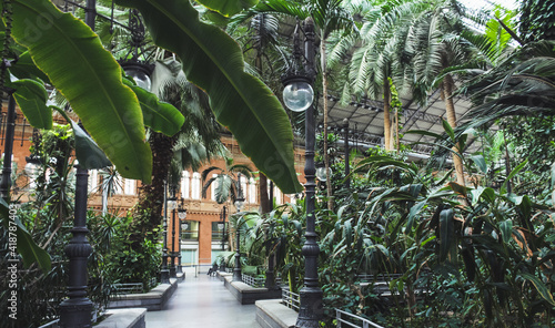 Tropical green house, location in Atocha train station, Madrid, Spain.