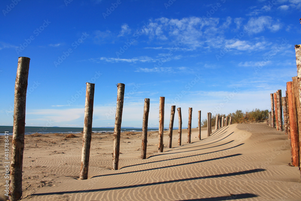 Natural and wild beach with a beautiful and vast area of dunes, Camargue region in the South of Montpellier, France Natural and wild beach with a beautiful and vast area of dunes, Camargue region in the South of Montpellier, France
