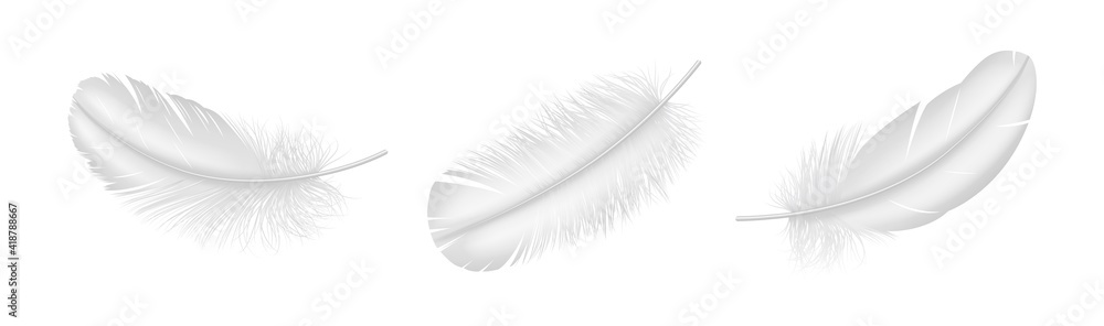 Realistic white feather set closeup isolated on white background. Detailed fluffy plume - obrazy, fototapety, plakaty 