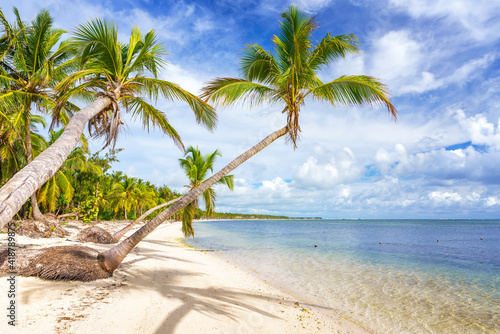 Fototapeta Naklejka Na Ścianę i Meble -  Palm trees on beautiful tropical sunny beach in Dominican republic