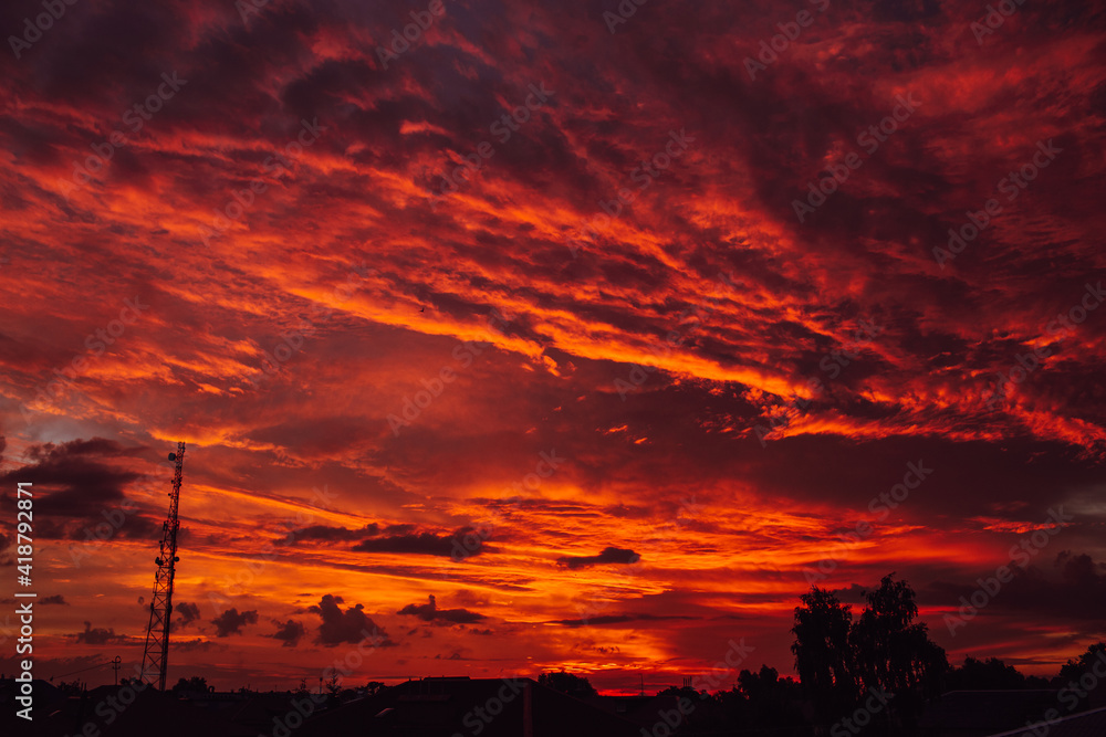 Amazing red sunset or dawn sky, view under roofs and trees. Violet and orange colors.