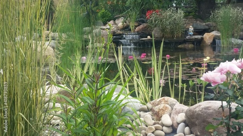 Beautiful pond landscape flowers rocks water