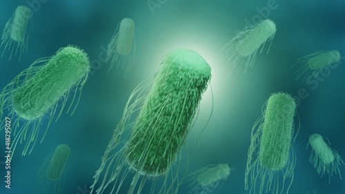 Salmonella is a bacterium cousing food poisoning, 3d render of gram negative bacillus bacteria photo