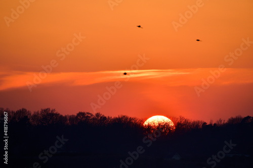 Fotografía Tard le soir