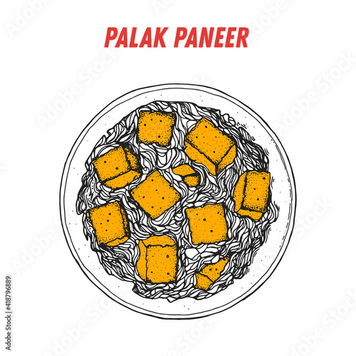 Palak paneer sketch, Indian food. Hand drawn vector illustration. Sketch style. Top view. Vintage vector illustration.
