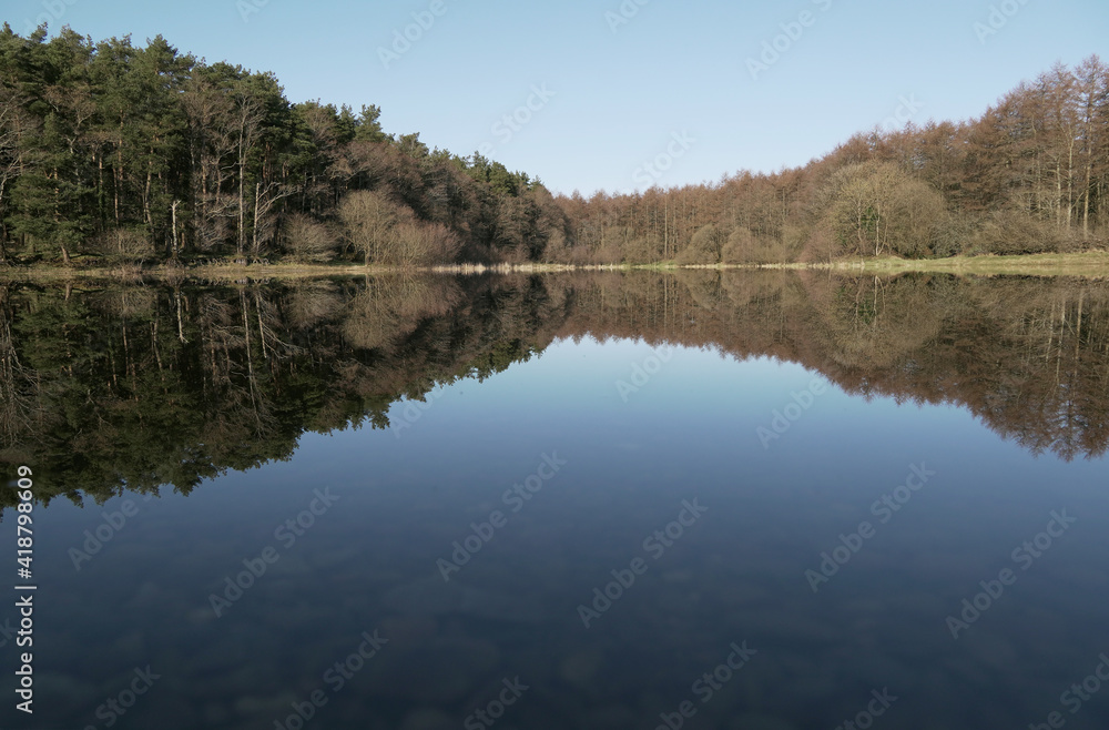 reflection in the water, forest, blue sky, lake, landscape, nature, mirror