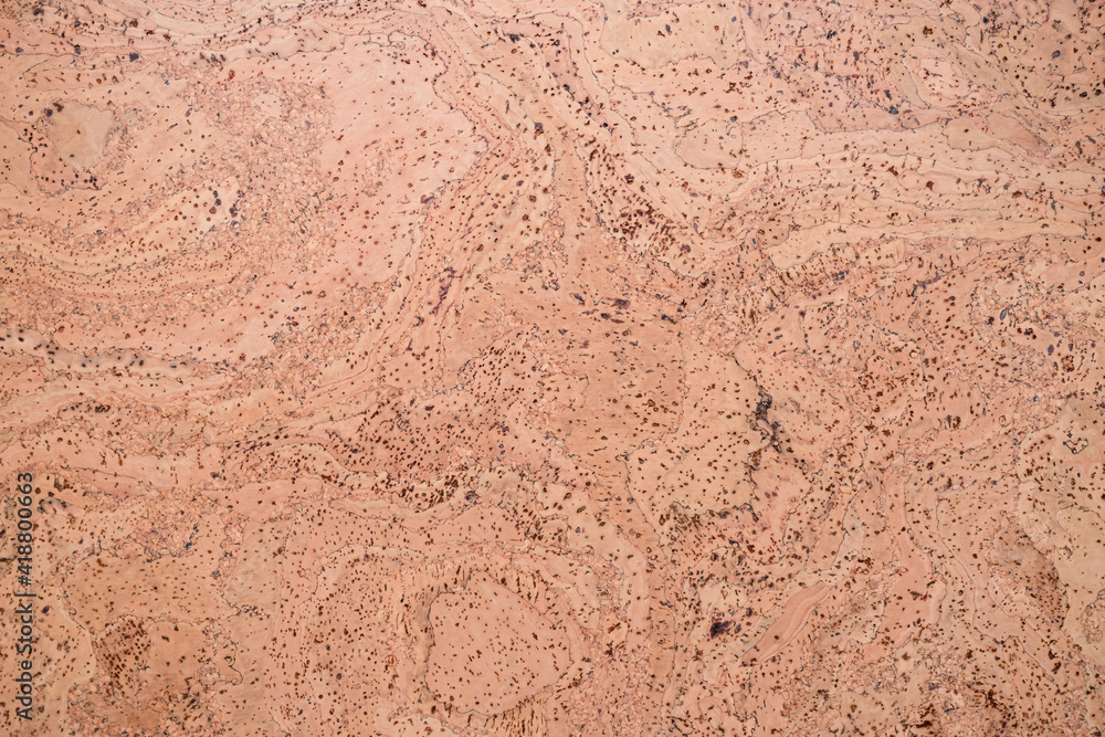 Close-up background and texture of cork board wood surface Close-up background and texture of cork board wood surface