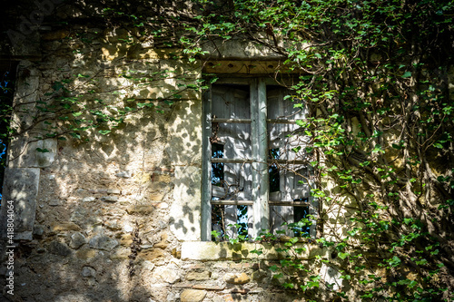 la  fenêtre  d'une maison sous une la végétation