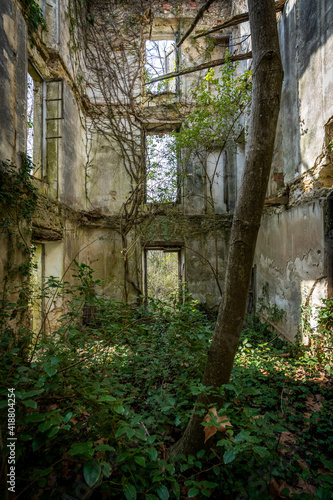 l int  rieur d un b  timent en ruine envahi par la v  g  tation avec un tronc en premier plan