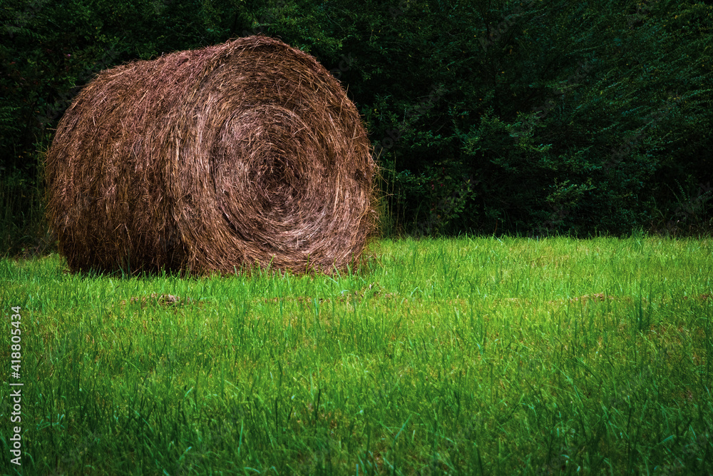 Large round bail of Hey in a green field Large round bail of Hey in a green field