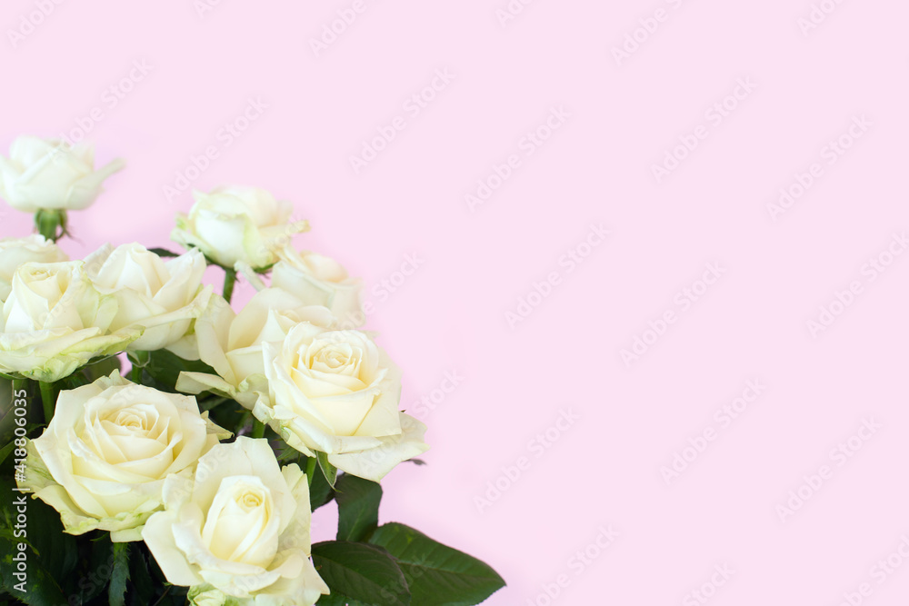 Beautiful bouquet of white roses on pink background