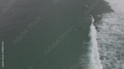 Wallpaper Mural Surfers Riding Waves While Moving Fastly Into The Shore At Bondi Beach In Sydney, New South Wales, Australia. - Aerial Tracking Shot Torontodigital.ca