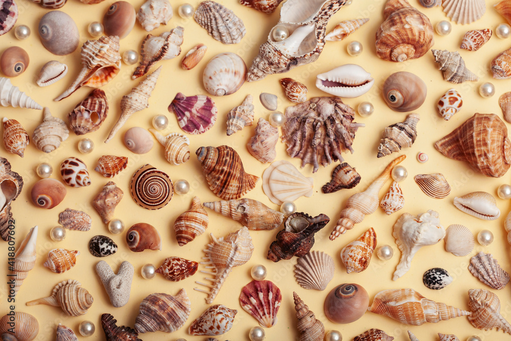 a lot of different empty sea shells on yellow background, macro details a lot of different empty sea shells on yellow background, macro details