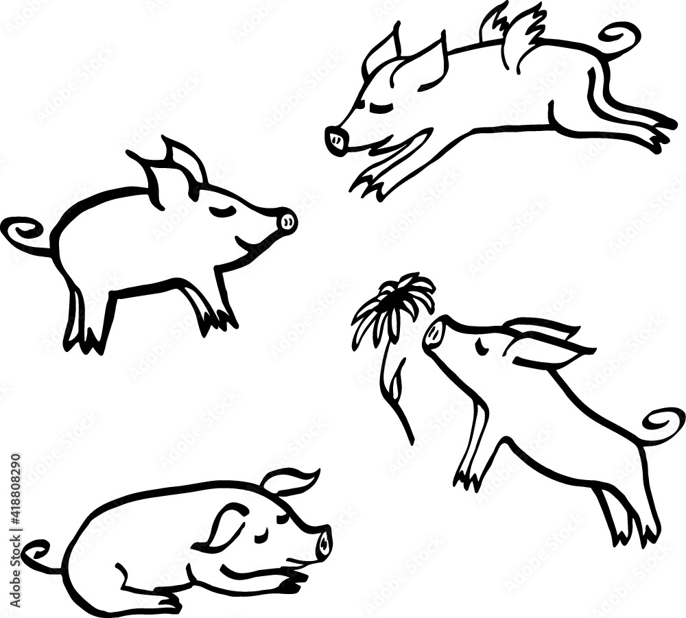 Set of hand drawn cartoon sketches of cute funny piggie characters. 2019 new year symbol. Vector illustration isolated on white background