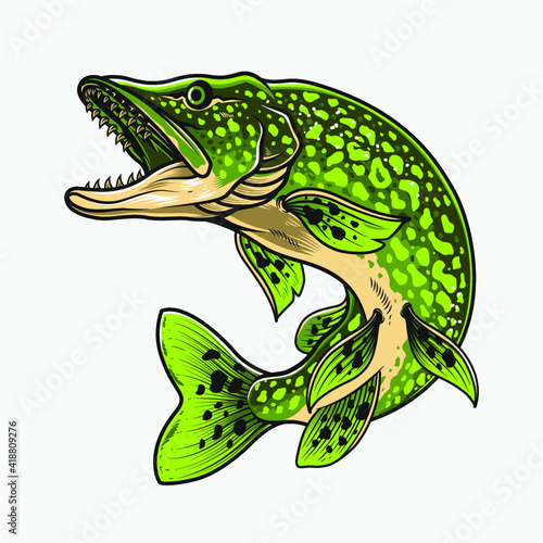 northern pike vector illustration