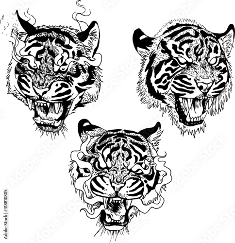 Three hand drawn angry tigers
