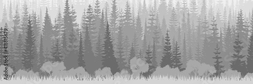 A panoramic view of a dense forest, taiga. Black and white landscape.