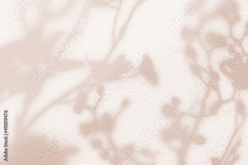 Fototapeta Naklejka Na Ścianę i Meble -  Flower shadows on light brown and cream color wall.