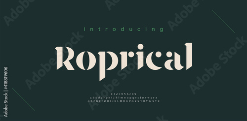 Luxury alphabet letters font and number. Classic Lettering Minimal Fashion Designs. Typography Elegant modern serif fonts decorative origami concept. vector illustration