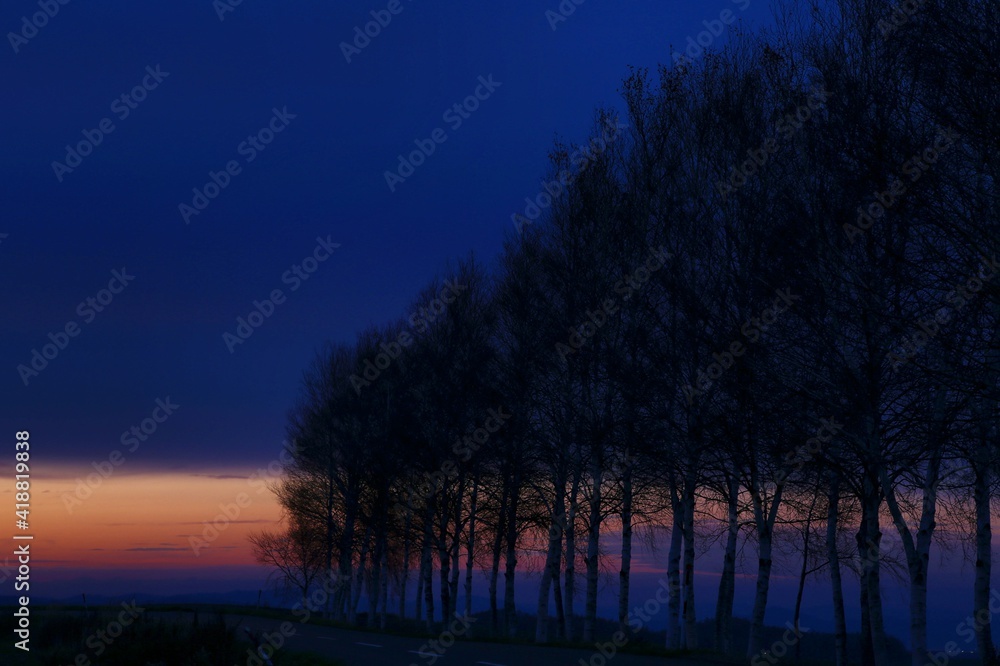 Fototapeta premium 夕日のシルエット