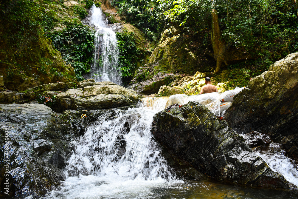 Fototapeta premium waterfall in the forest