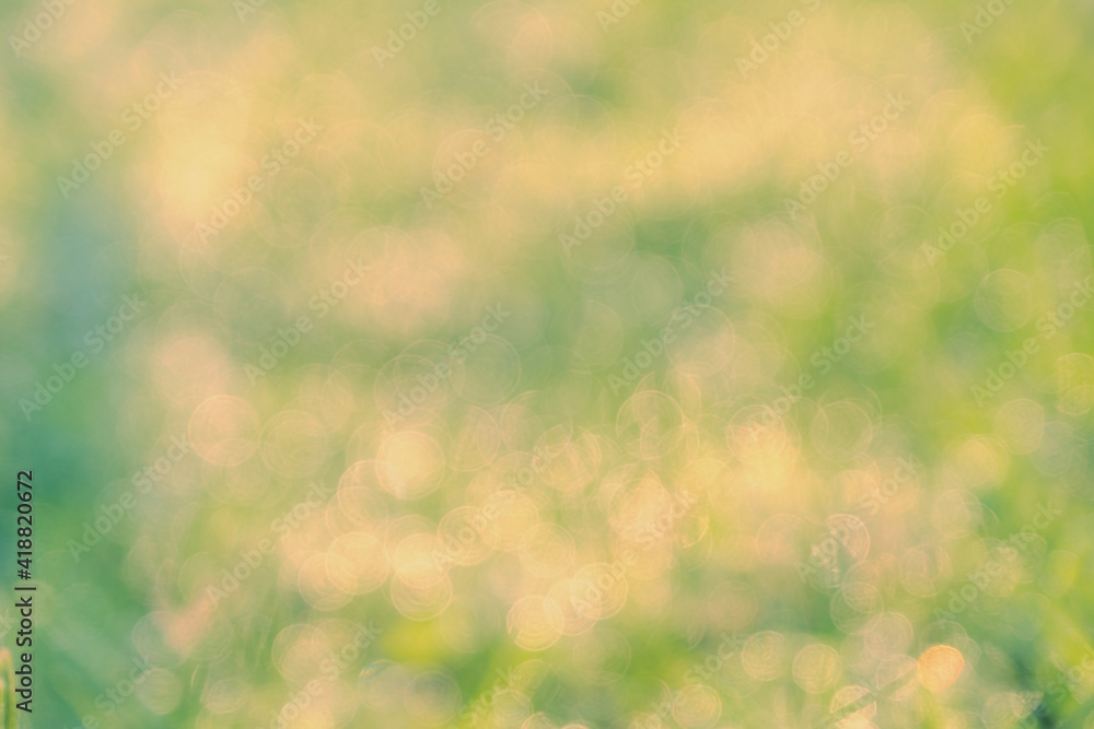 Obraz premium Green leaf bokeh pattern background for design
