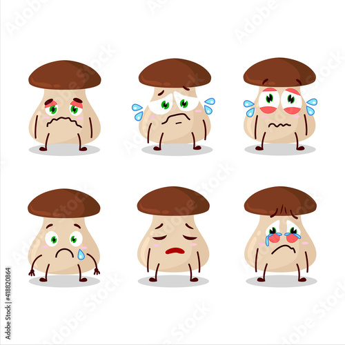 Boletus edulis cartoon character with sad expression