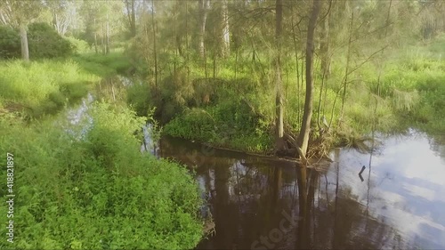 Smooth pull back revealing a peaceful and lush waterhole catching the early morning sun in the Queenland bush photo