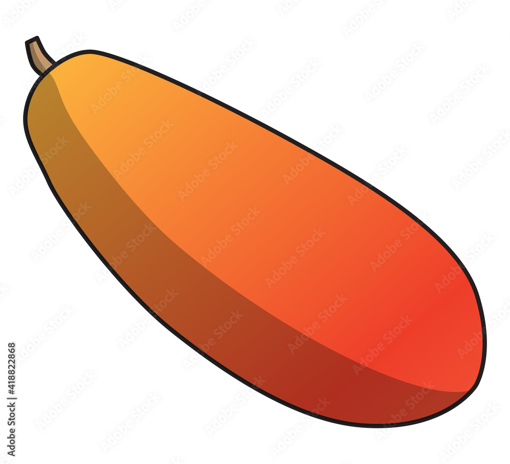 papaya vector illustration,isolated on white background,fruits top view papaya vector illustration,isolated on white background,fruits top view
